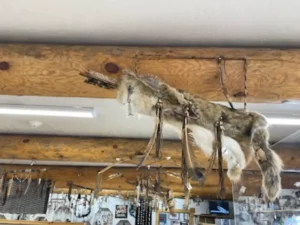 Animal Fur Ornament Store in Continental Divide, NM