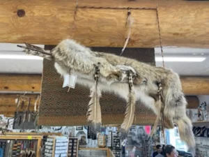Animal Fur Souvenir Store in Continental Divide, NM
